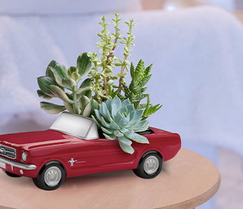Dream Wheels '65 Ford Mustang by Teleflora