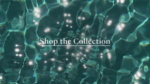 Shop The Collection