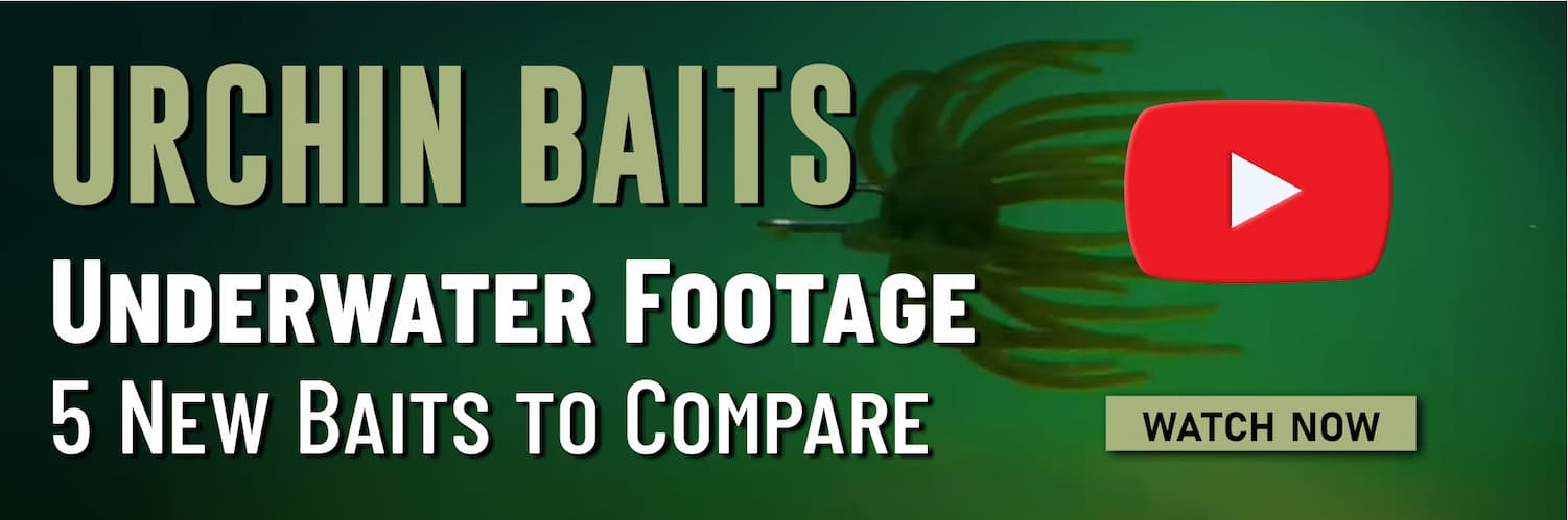 Urchin Baits Underwater Footage 5 New Baits to Compare Youtube Watch Now