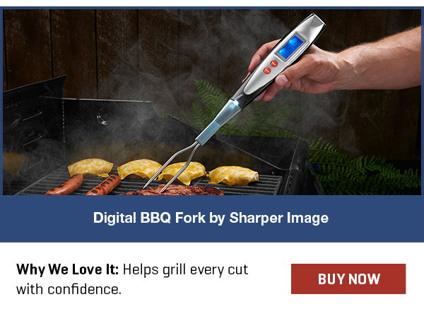 Digital BBQ Fork by Sharper Image