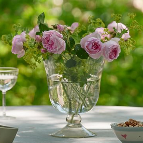 Susie Watson Designs Seasonal Flowers