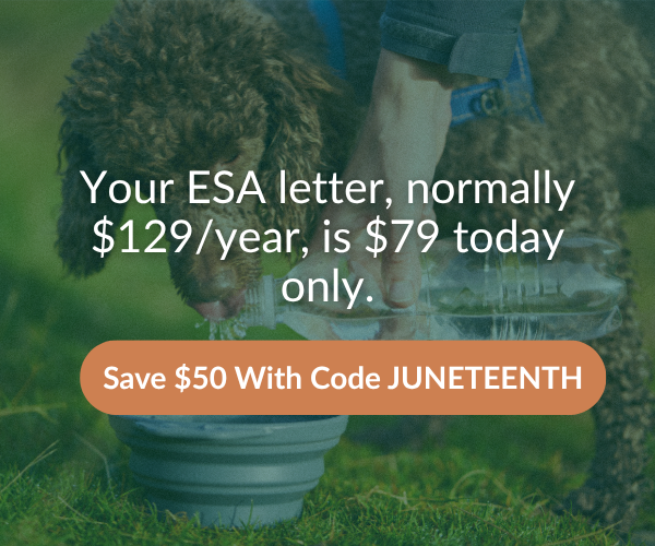 $50 off - Juneteenth Offer