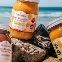 6 Full-Body Benefits That Make Sea Moss Worth Trying