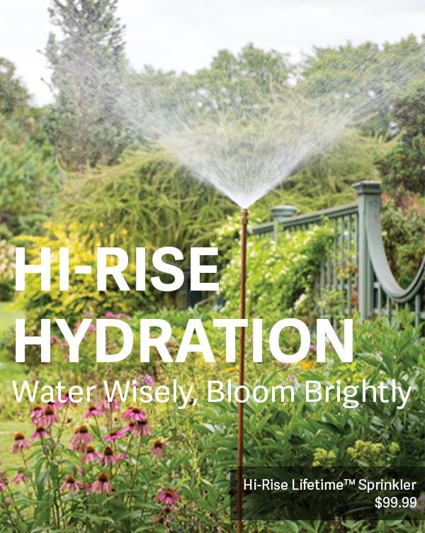 Hi-Rise Hydration - water wisely, bloom brightly
