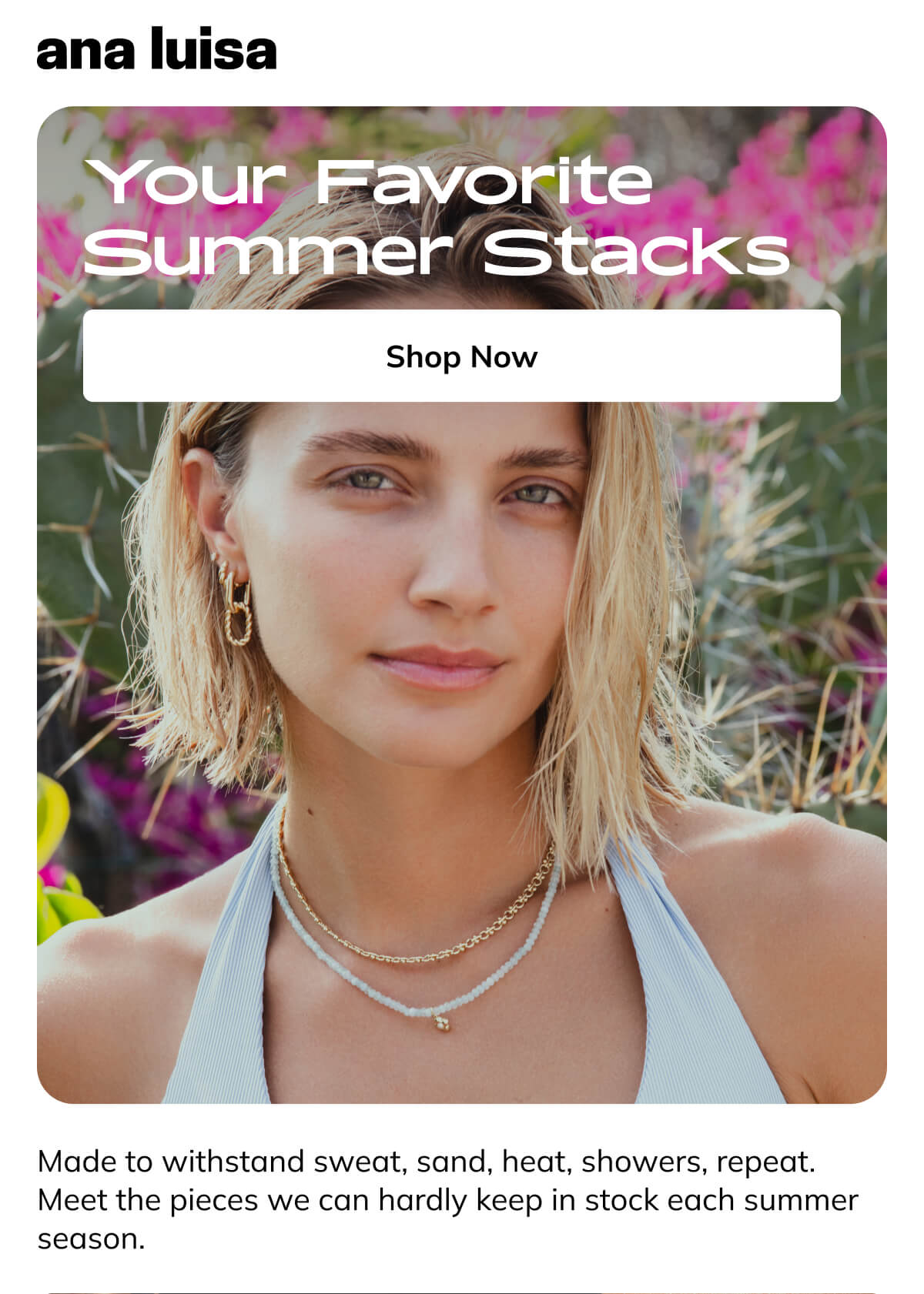 Shop Now Shop Now