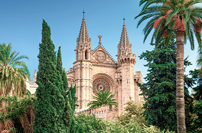 IMAGE_WMED_COR_W18.jpg