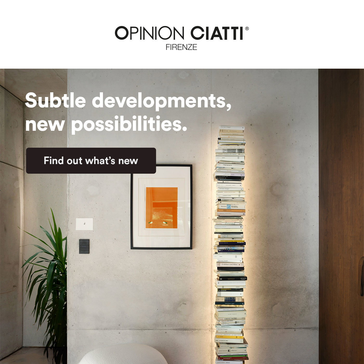 Opinion Ciatti