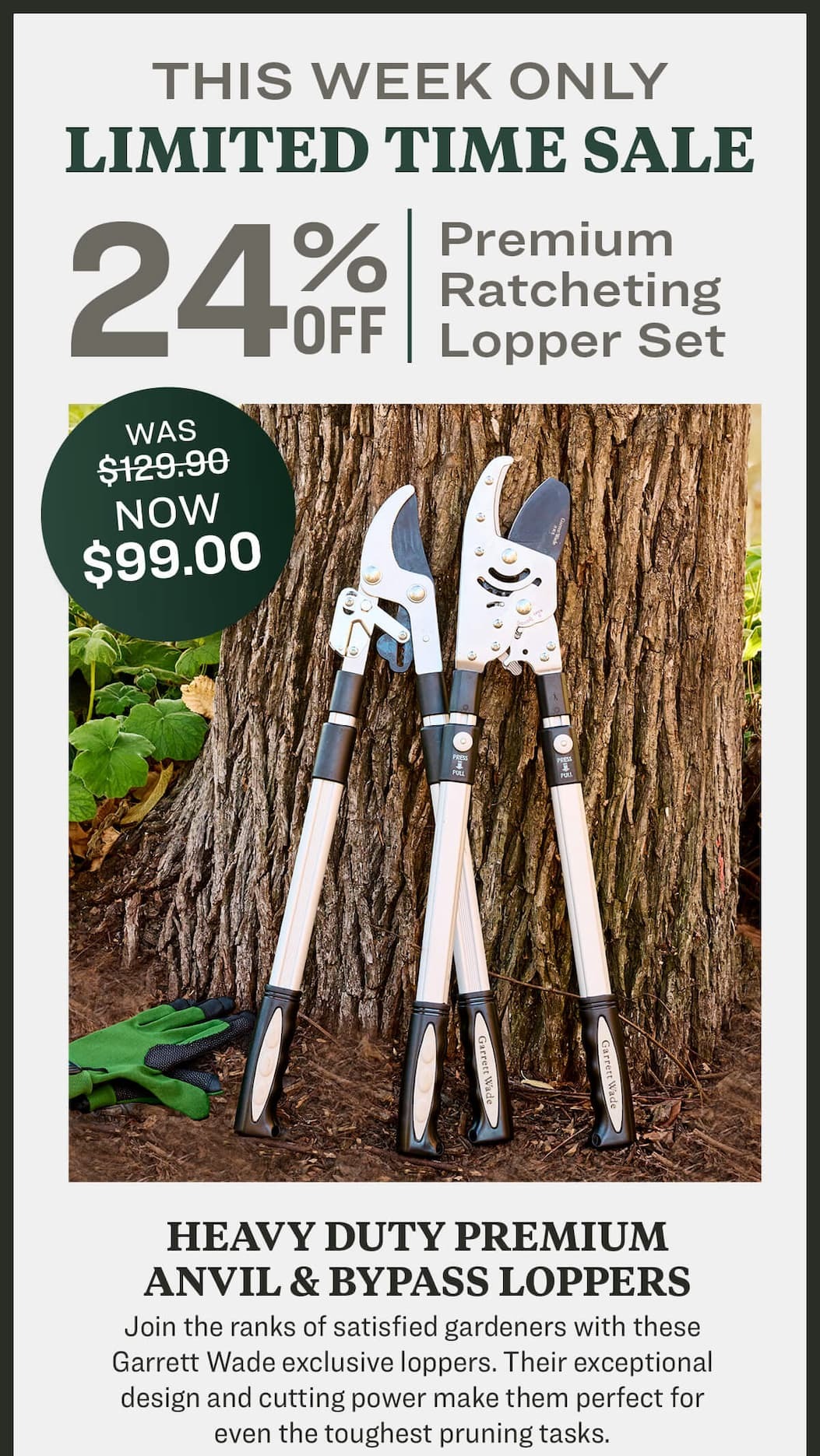 Garrett Wade Heavy Duty Lopper Set