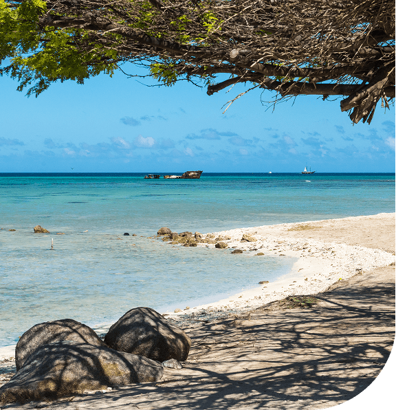 Beach scene with a tree's shadow on sand, rocky shoreline, a shipwreck, and a distant sailboat on the ocean.