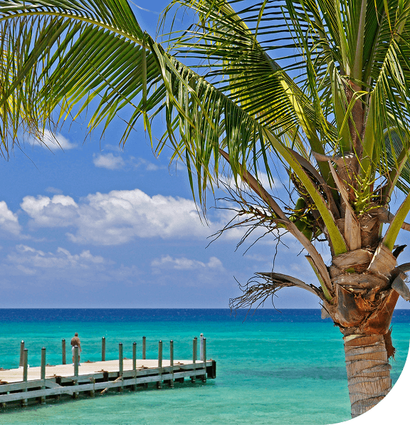Tropical beach scene with a palm tree, pier, and turquoise ocean under a blue sky.