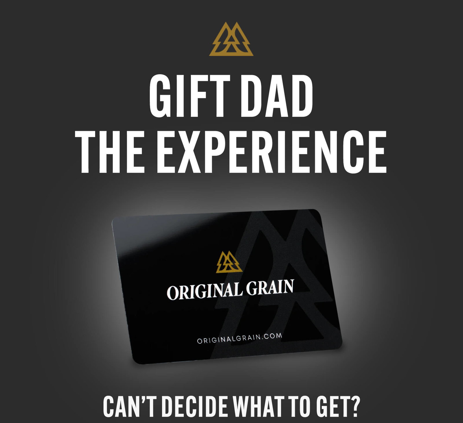 Gift Dad The Experience 