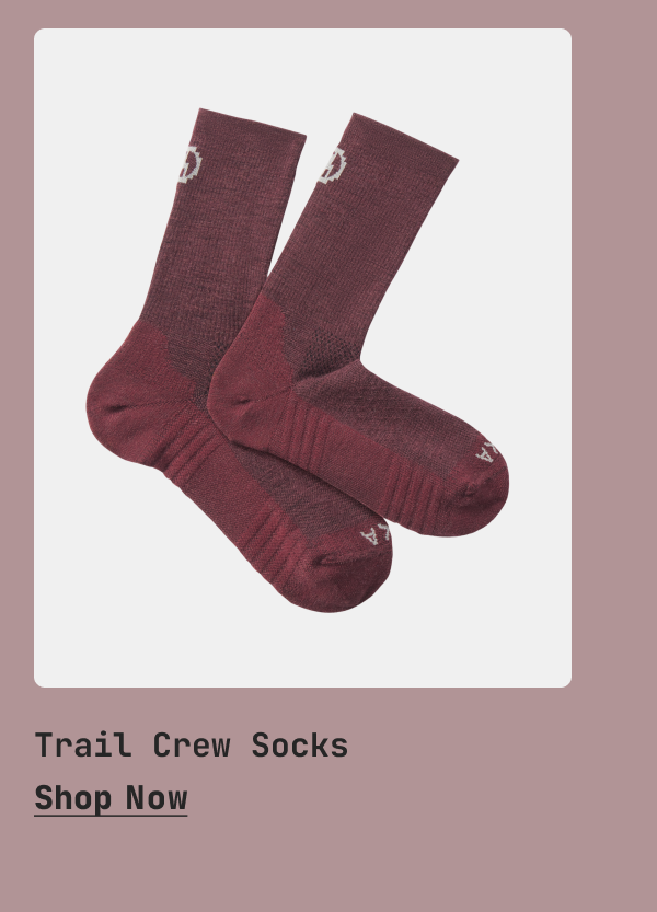 Trail Crew Socks