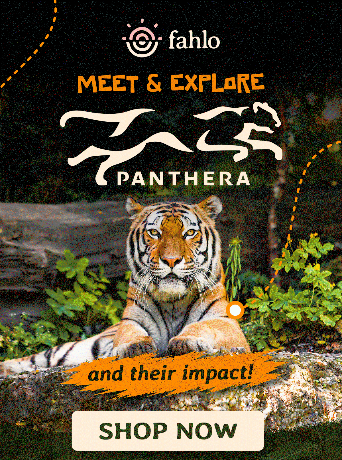 Meet and explore Panthera, and the impact they have on wild tigers. Track a real tiger now!
