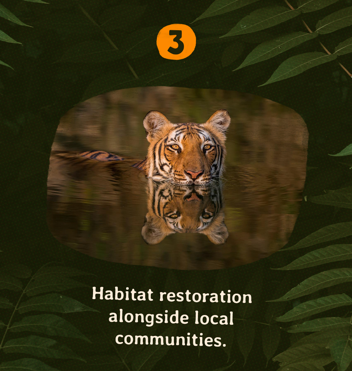 Habitat restoration, in collaboration with local communities, is crucial in addressing the global issue of habitat loss. Every contribution, no matter how small, plays a vital role in preserving wildlife habitats.
