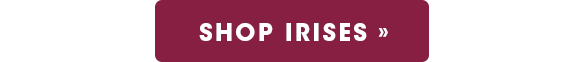 Shop Irises