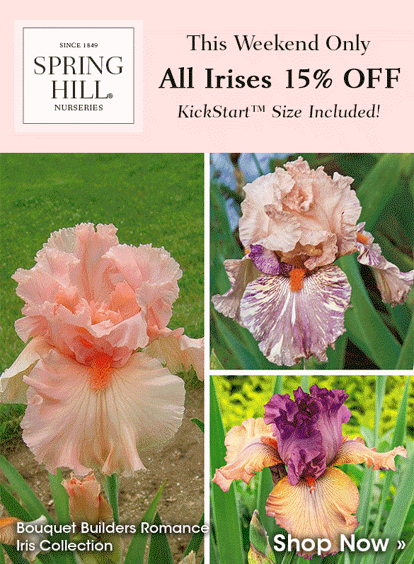 All Irises 15% OFF