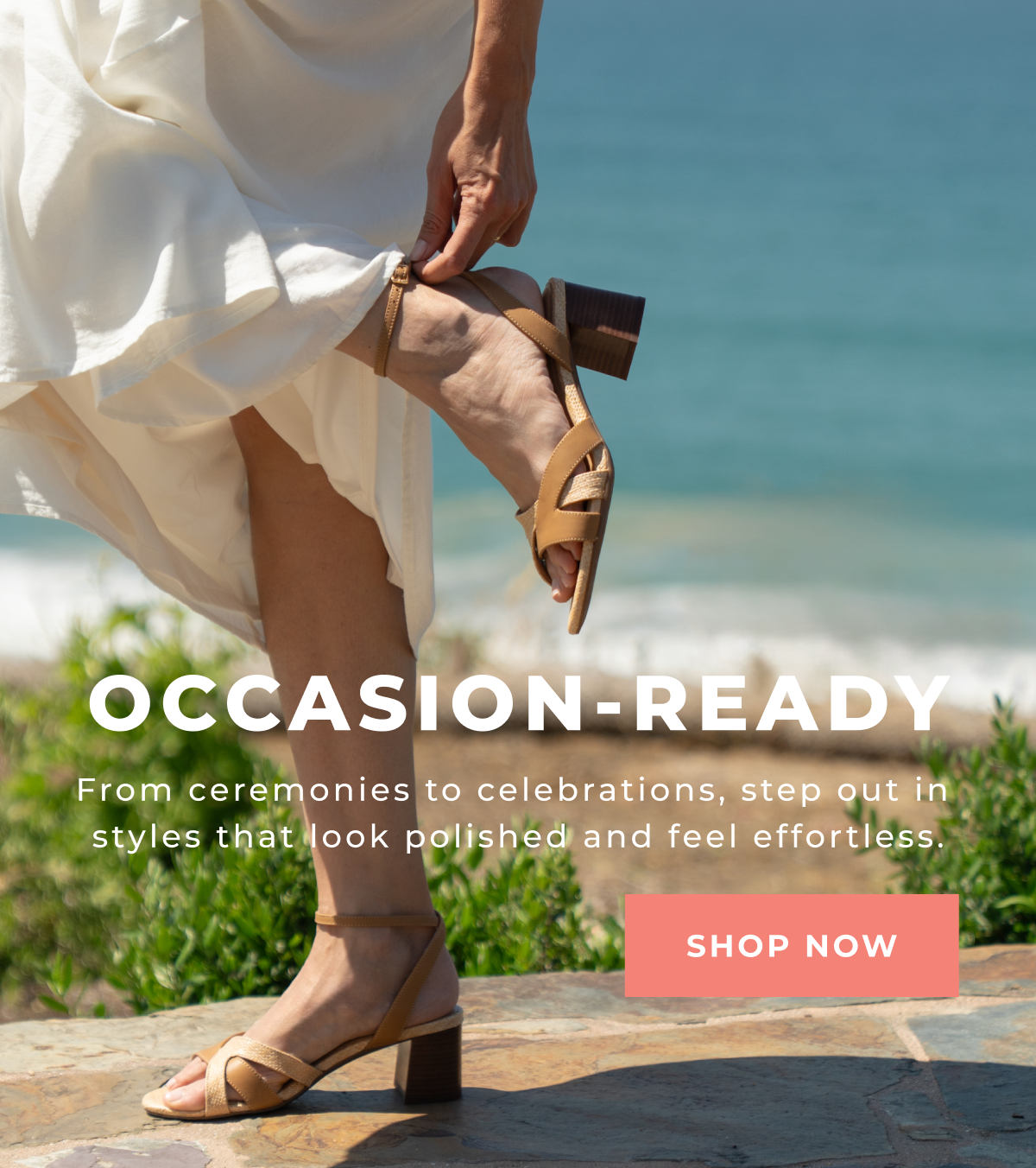 OCCASION-READY [ SHOP NOW ]