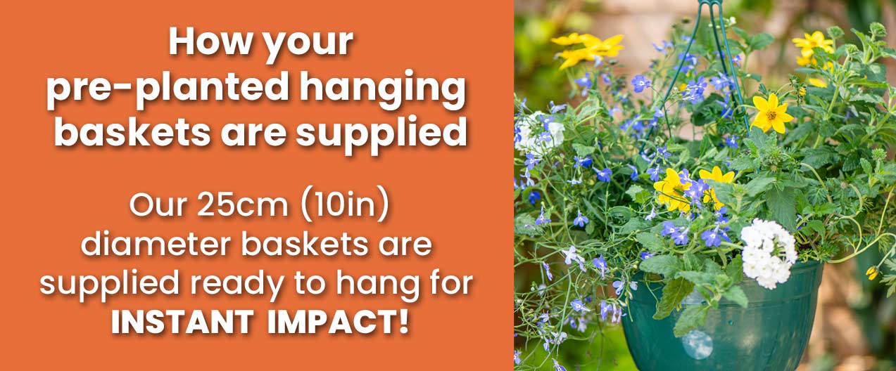 How your baskets are supplied