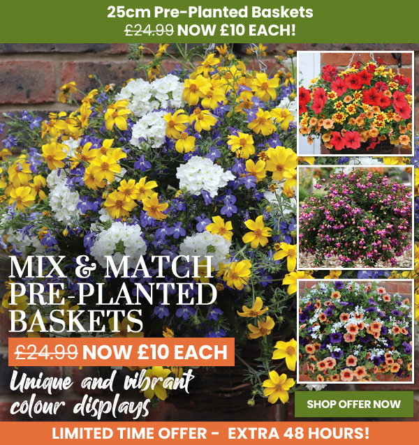 Mix & Match Baskets