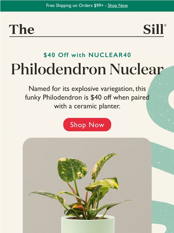 Pair with a planter for $40 off (!) while supplies last