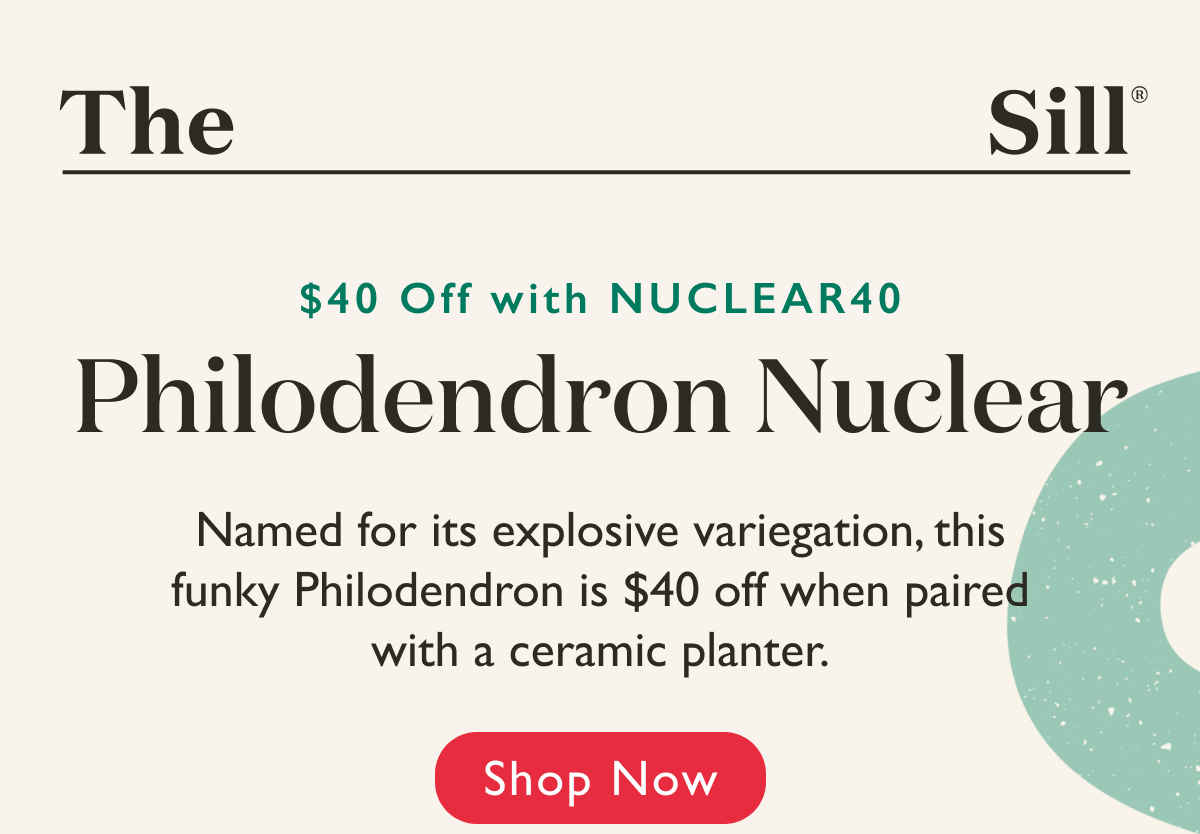 Named for its explosive variegation, this funky Philodendron is $40 off when paired with a ceramic planter.