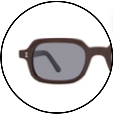 Berlin sunglasses shown in Bordeaux