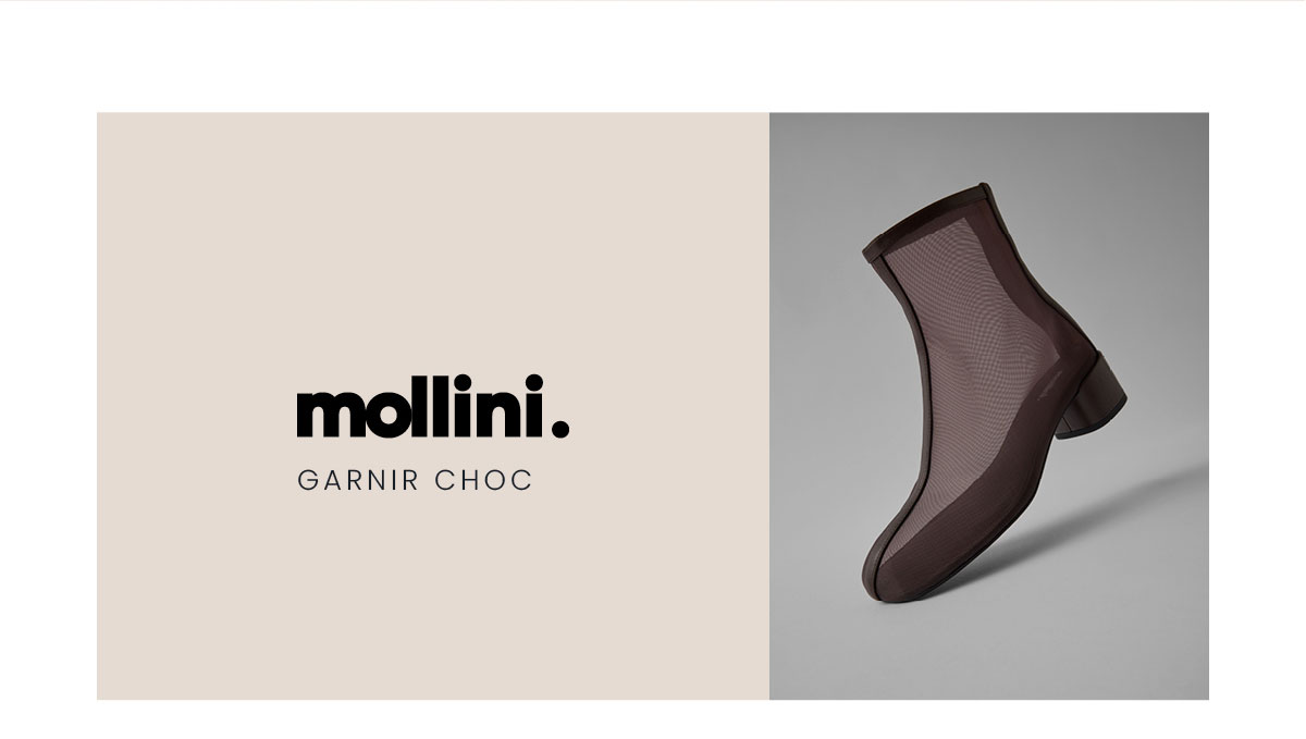 MOLLINI