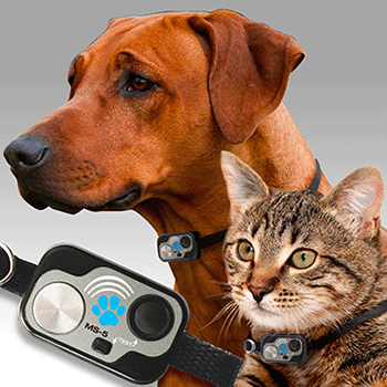 High Tech Pet 
Innovative Pet Products