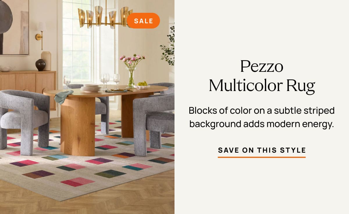 Pezzo Multicolor Rug | Save On This Style 