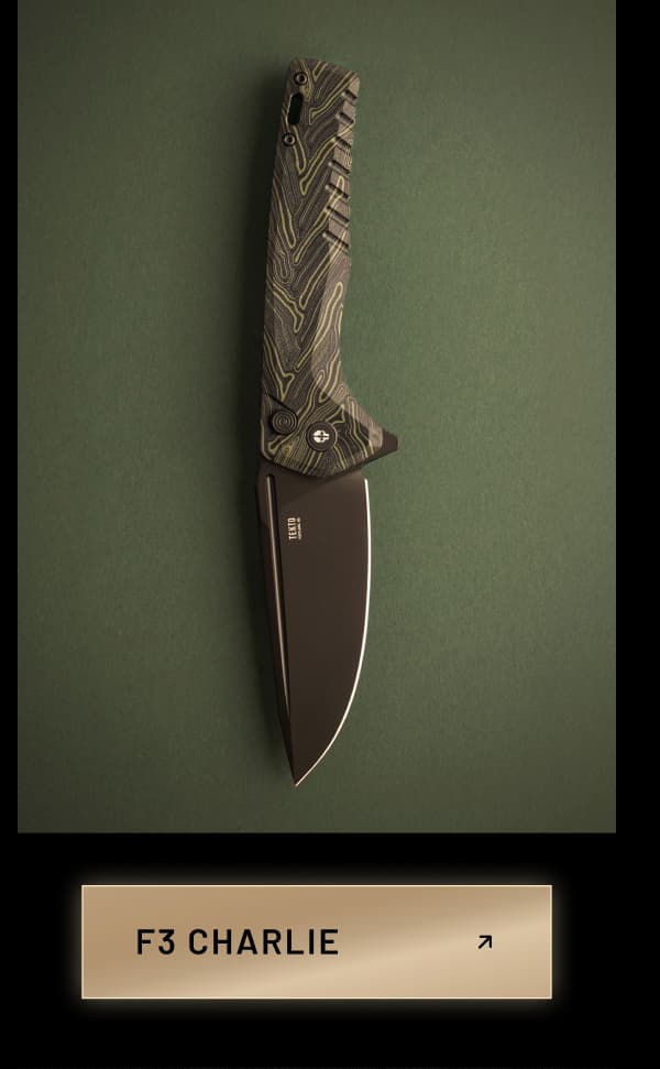 Folding Knife F3 Charlie Damascus G10.