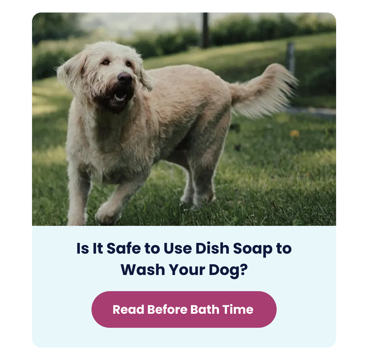 Learn More