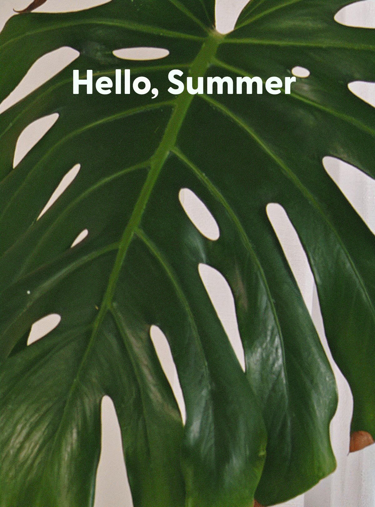 Hello, Summer