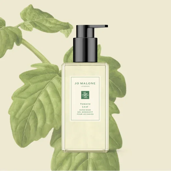 JO MALONE LONDON | TOMATO LEAF | HAND WASH GEL MOUSSANT POUR LES MAINS