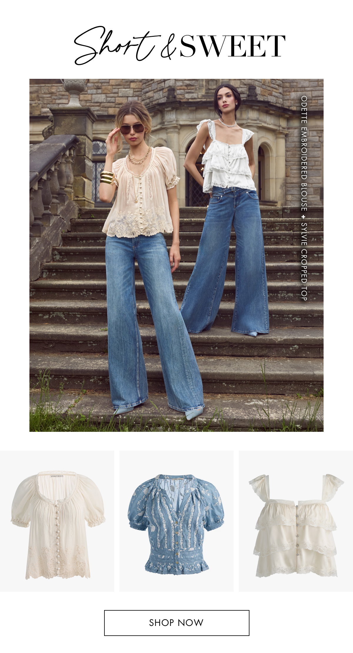 Short & Sweet. SHOP NOW