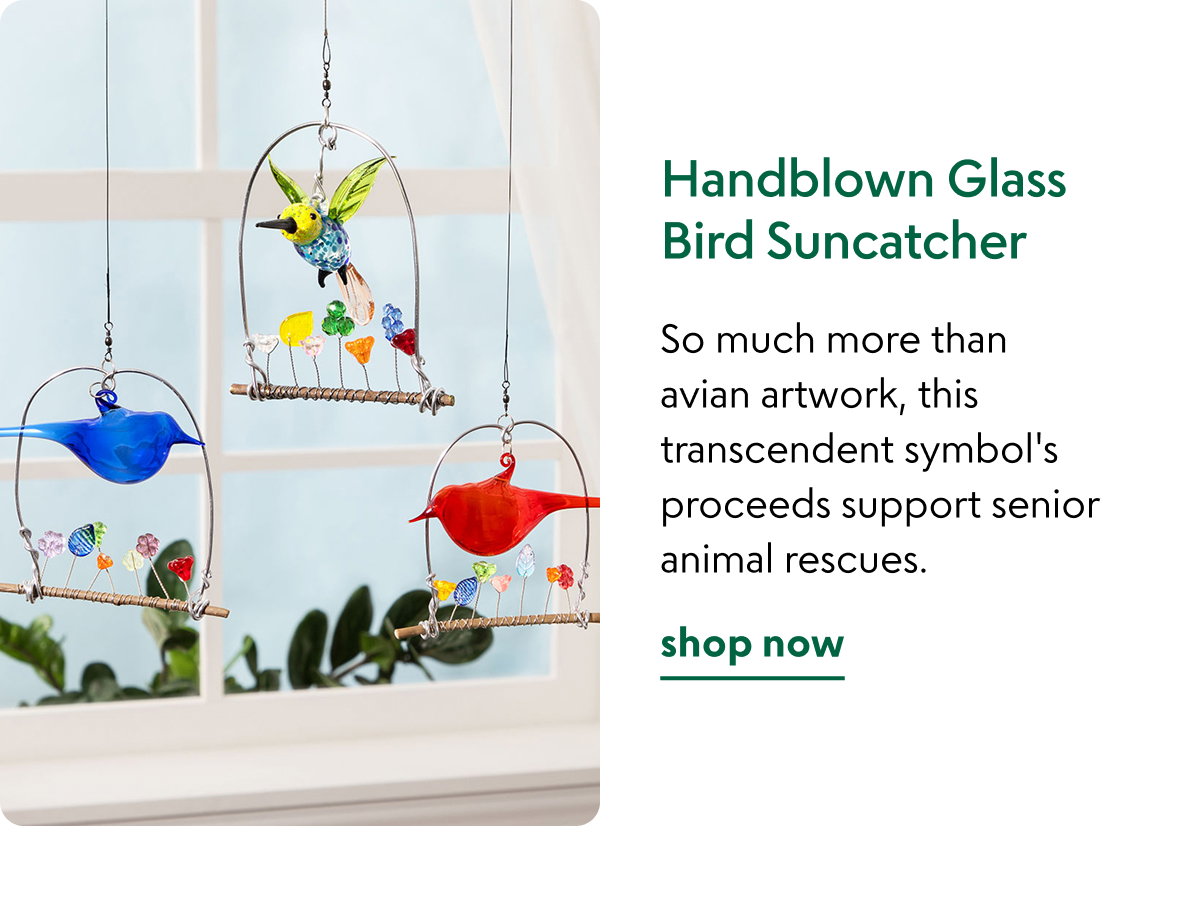 handblown-glass-bird-suncatcher
