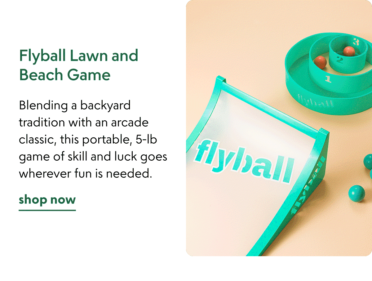 flyball-lawn-and-beach-game