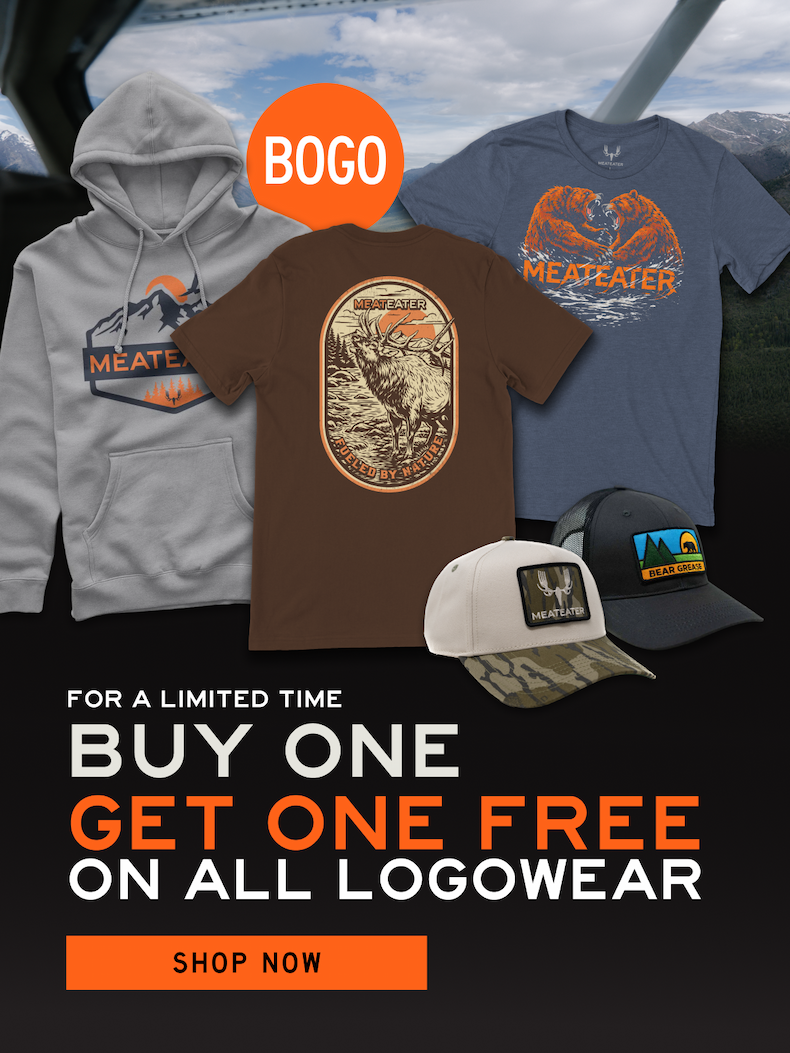 Buy one get one free