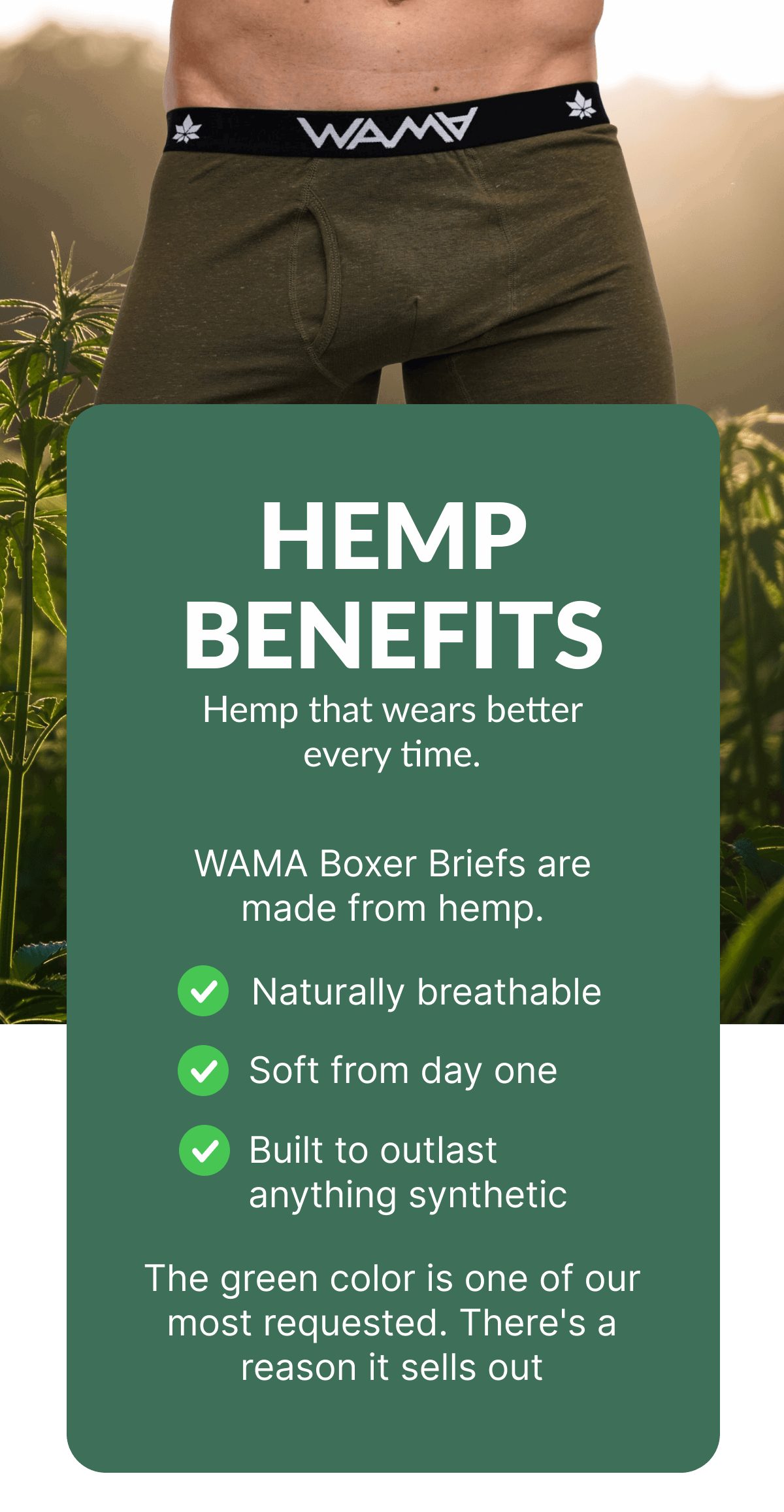 Hemp Benefits