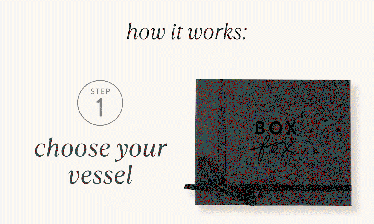 Build a BOXFOX 