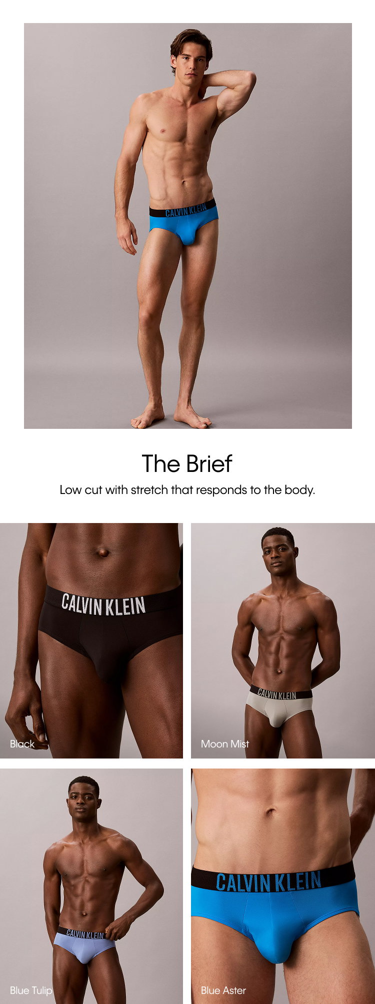 Brief