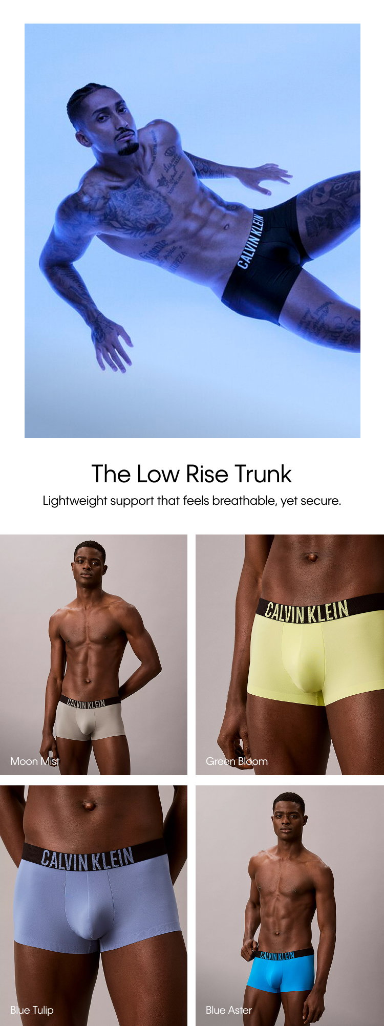 Low Rise Trunk