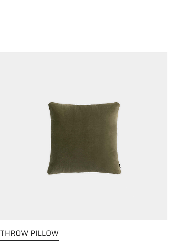 Throw Pillow