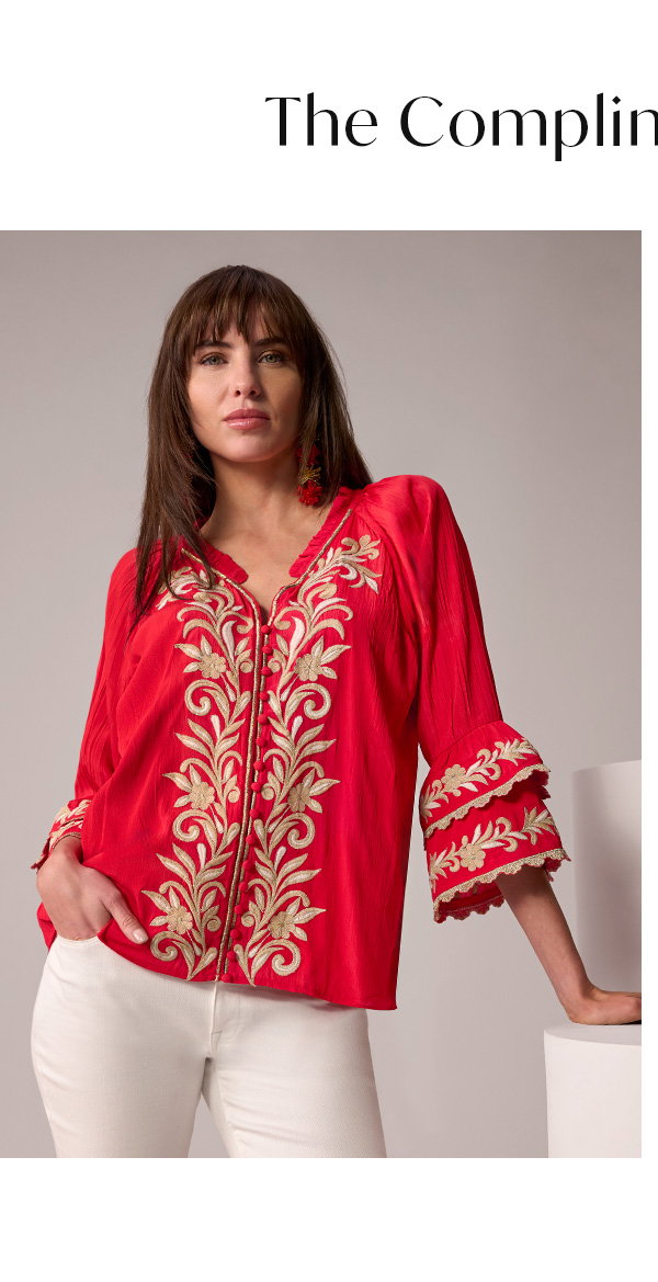 Embroidered Boho Ruffle Flare Sleeve Blouse