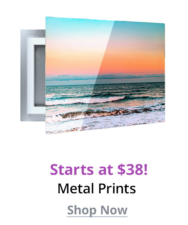 Metal Prints start at $38! Shop Now