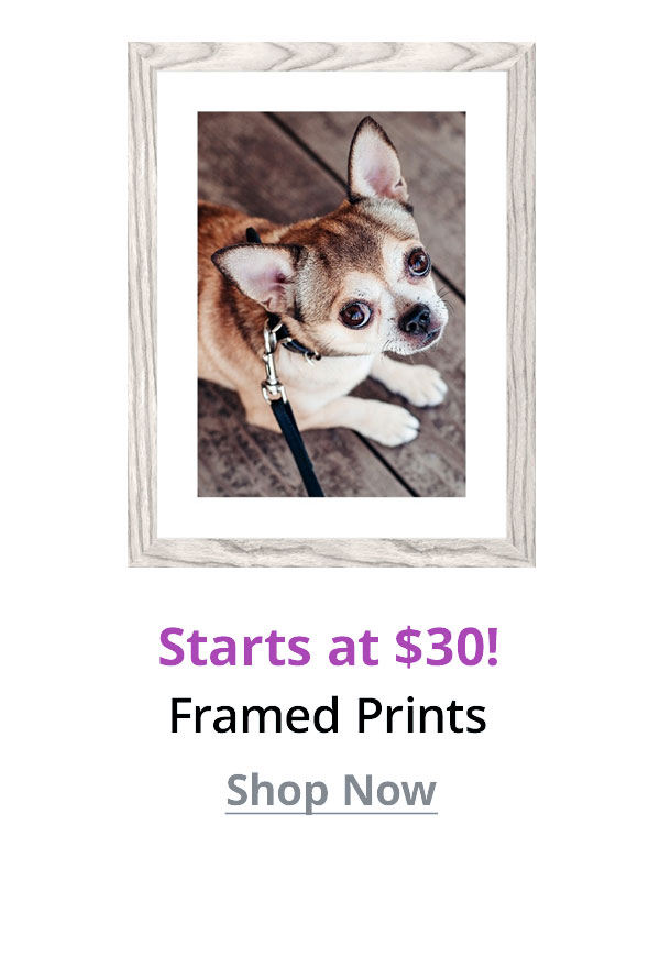 Framed Prints start at $30 Shop Now