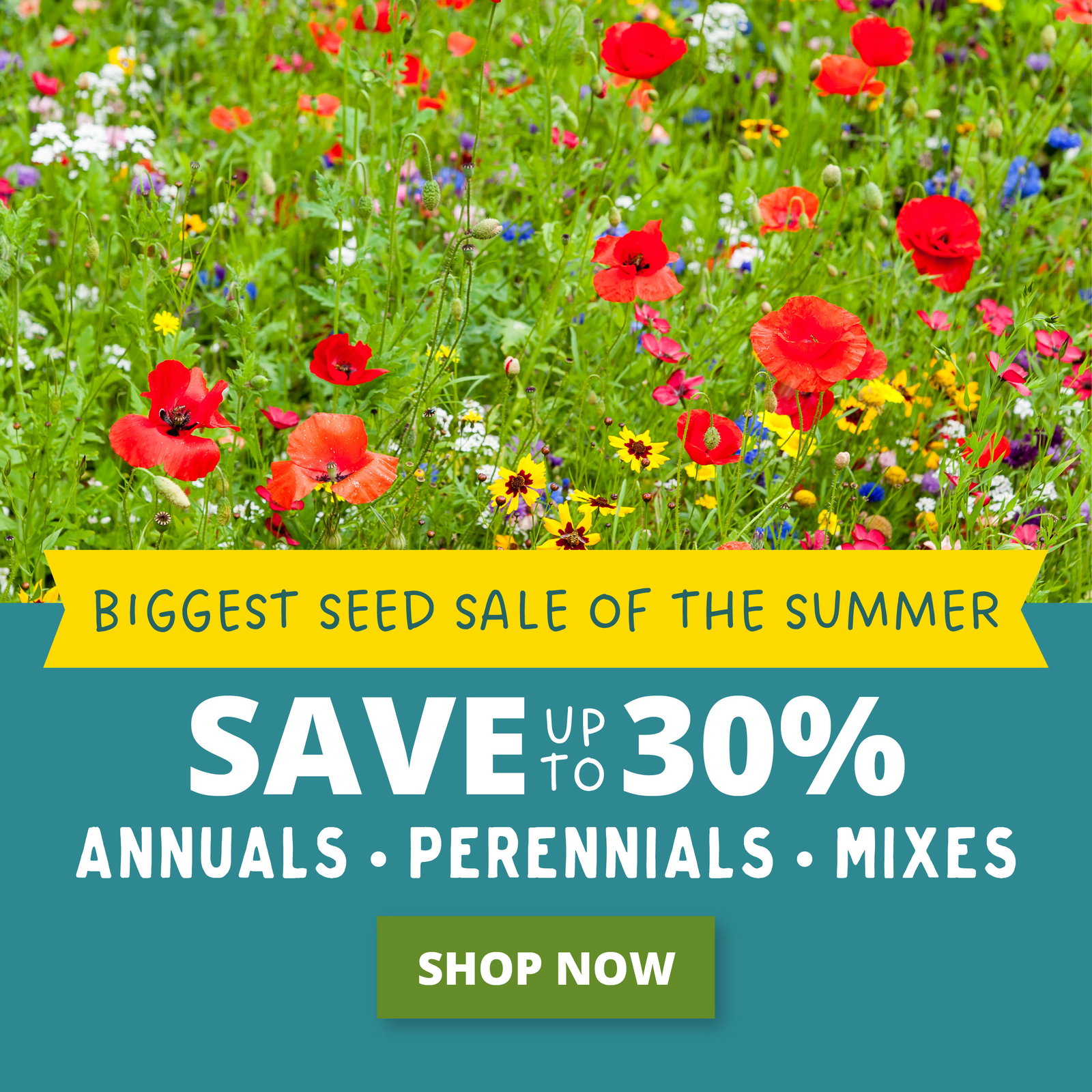 Biggest Seed Sale Of The Summer