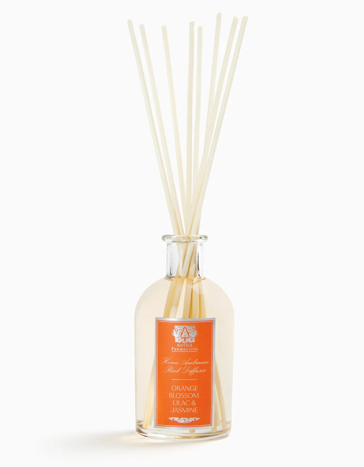 Image of ORANGE BLOSSOM