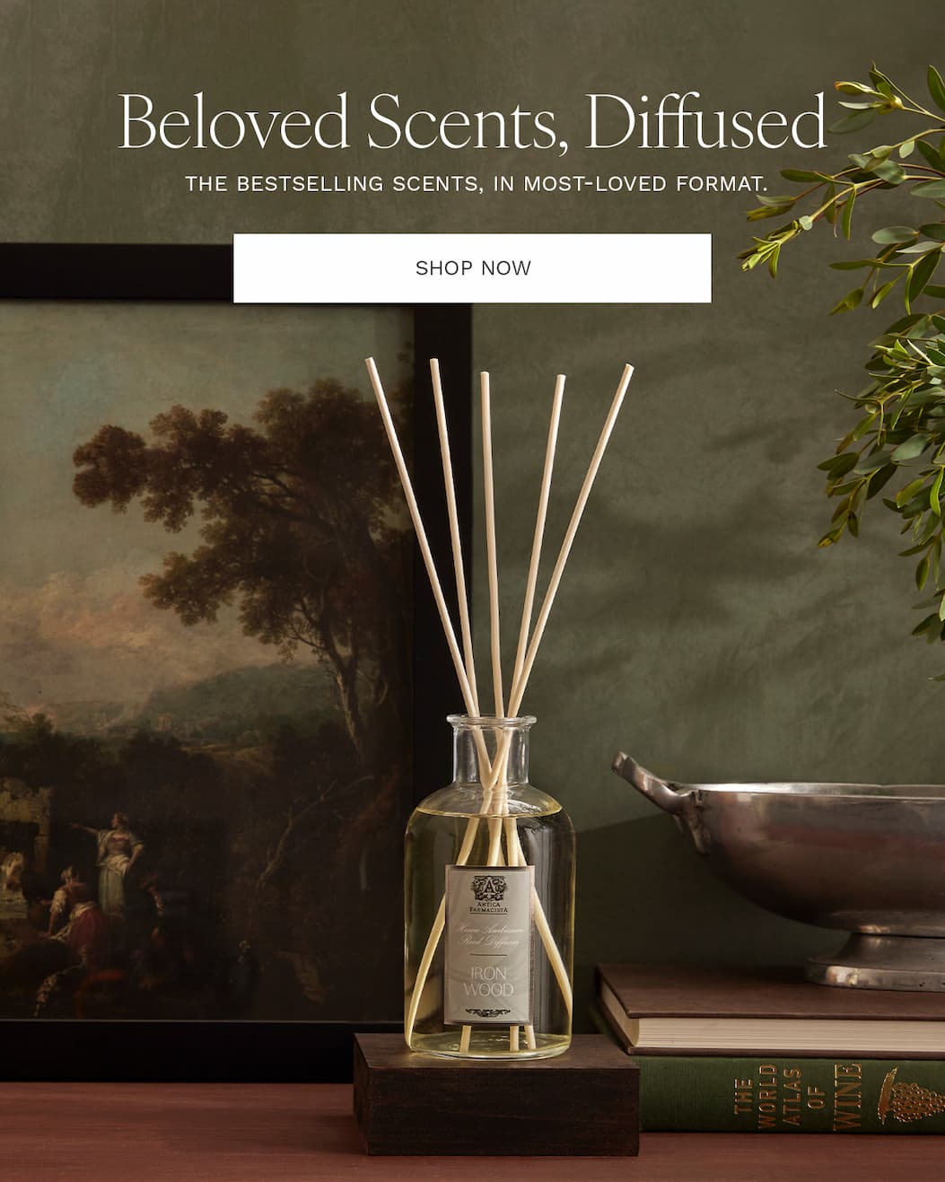 Your Guide to the World of Fragrance — Explore Now
