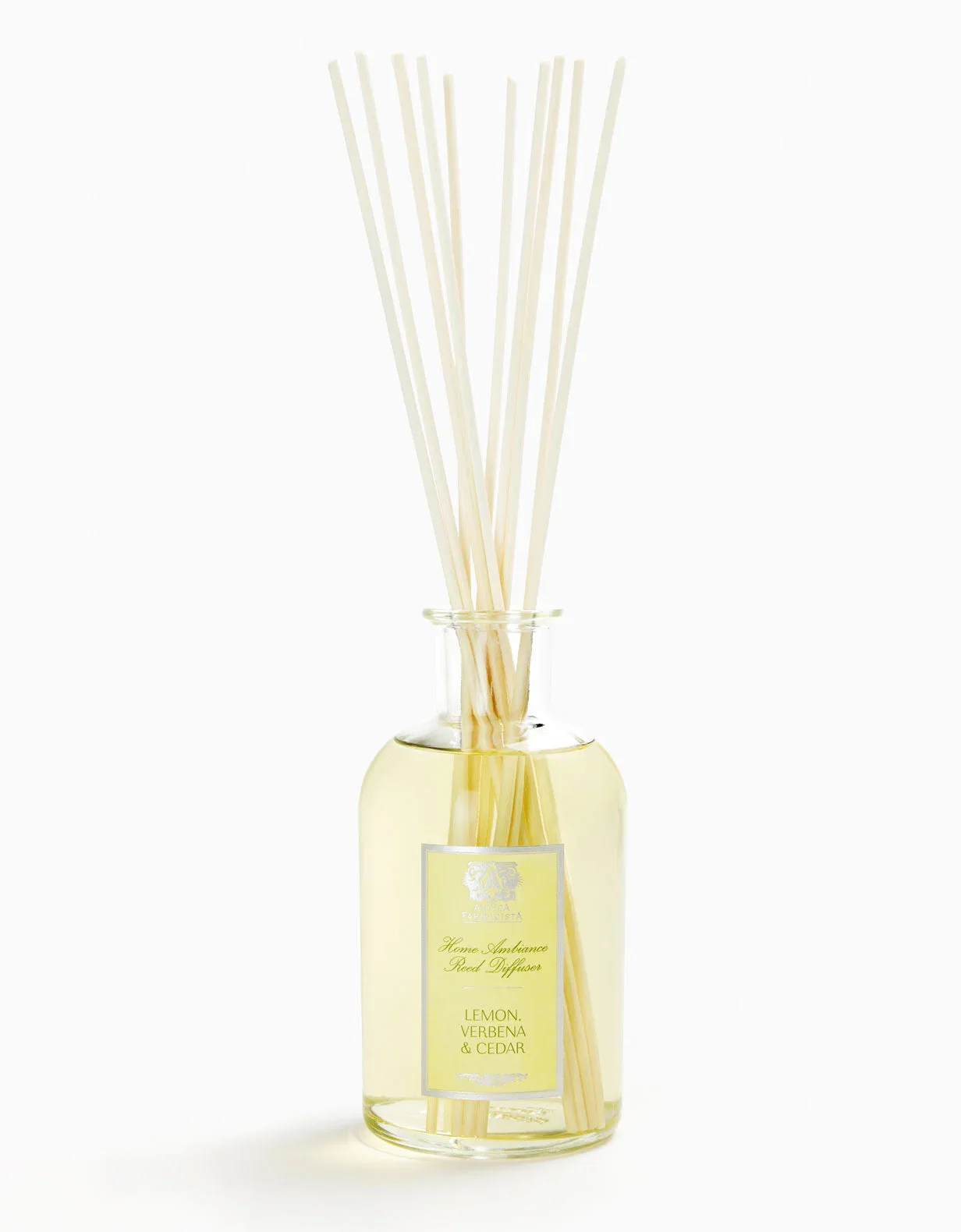Image of LEMON VERBENA