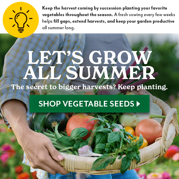 Let's Grow All Summer with Succession Planting - SHOP VEGETABLES